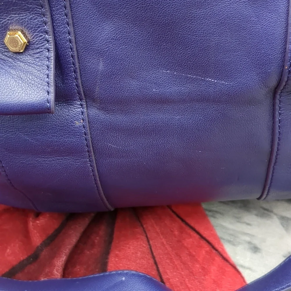 Z Spoke aka Zac Posen get happy bag